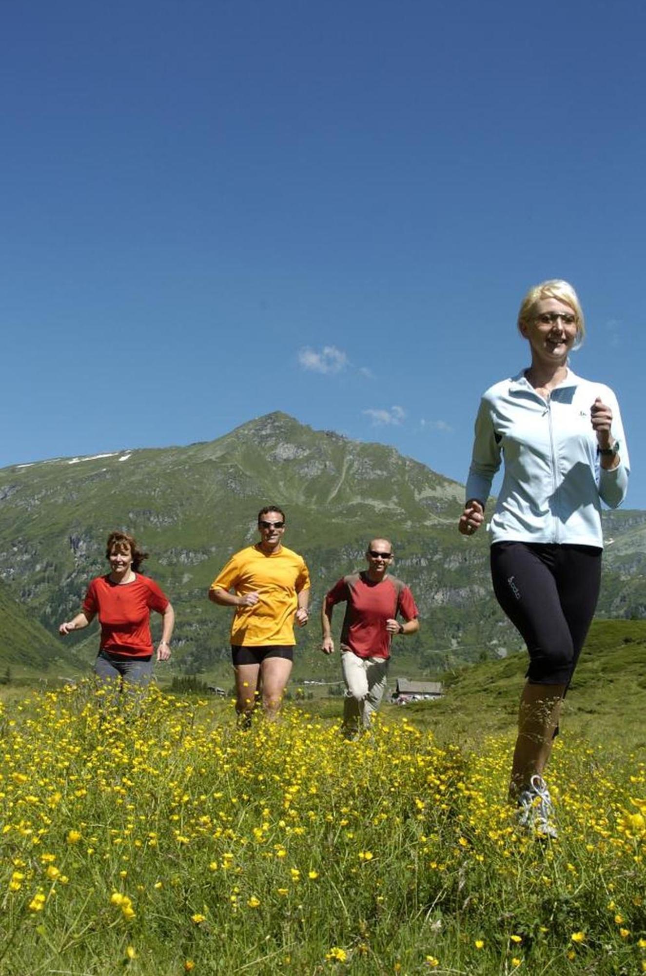 Ferienhaus Schiwiese Mit Freiem Eintritt In Die Alpentherme & Freie Nutzung Der Gasteiner Bergbahnen Im Sommer 2025 Bad Hofgastein Bagian luar foto